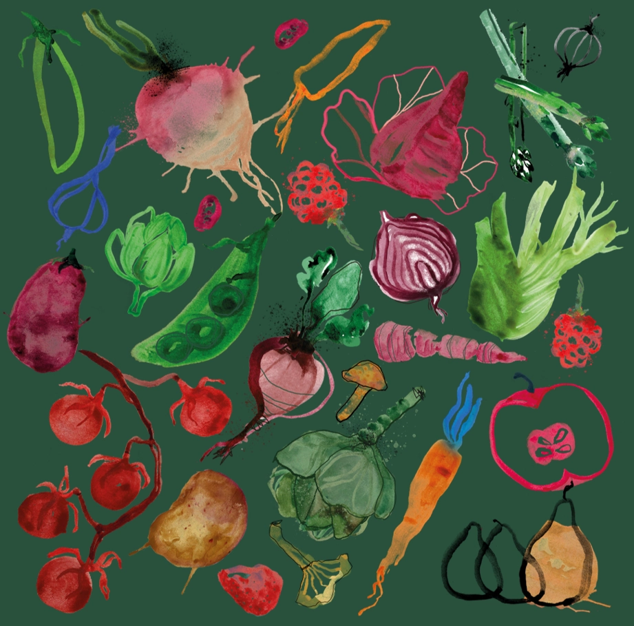 Bild på illustrerade grönsaker