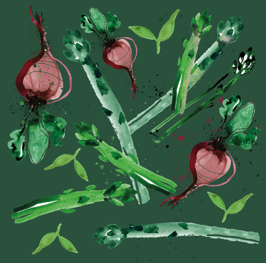 Bild på illustrerade grönsaker