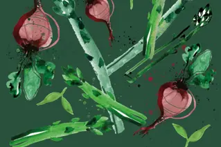 Bild på illustrerade grönsaker