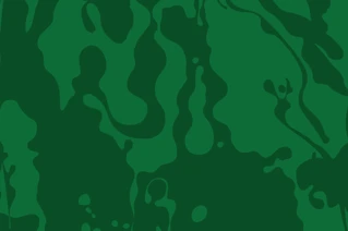 Bild på en grön illustartion